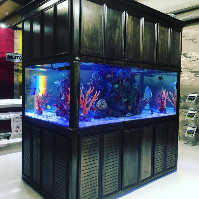 Images Aquarium Maintenance, LLC