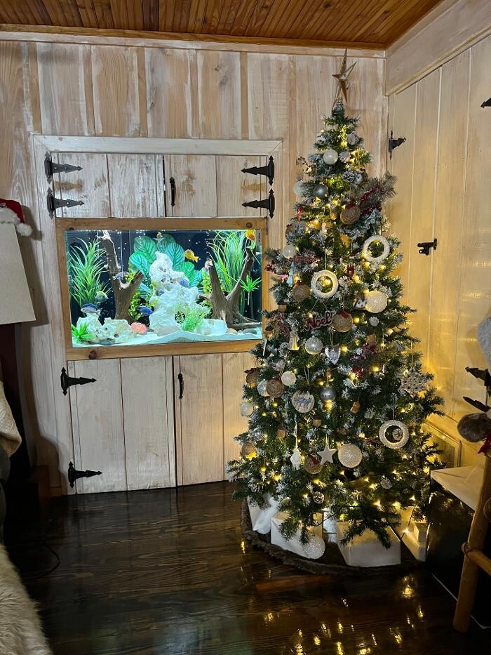 Images Aquarium Maintenance, LLC