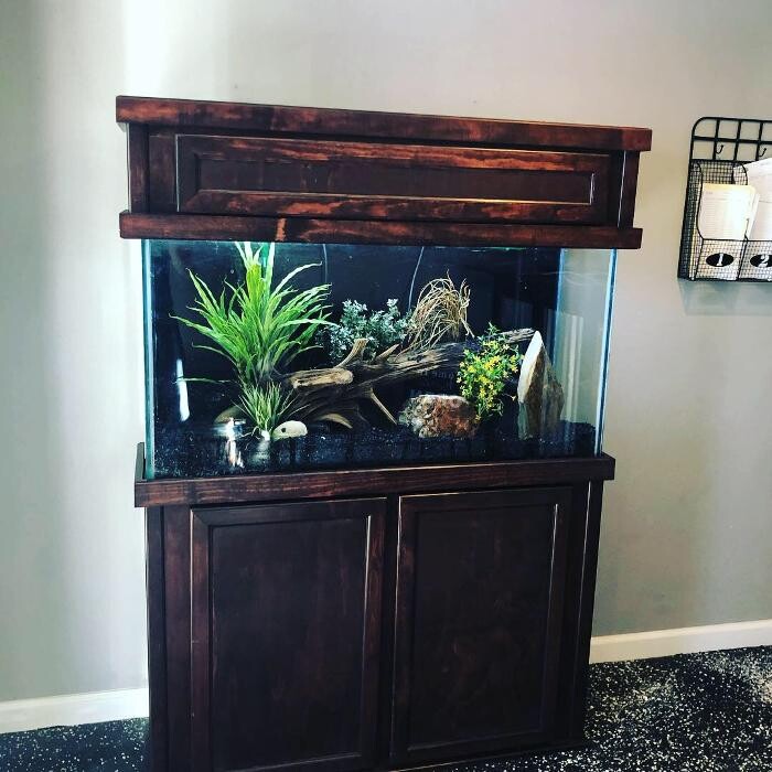 Images Aquarium Maintenance, LLC