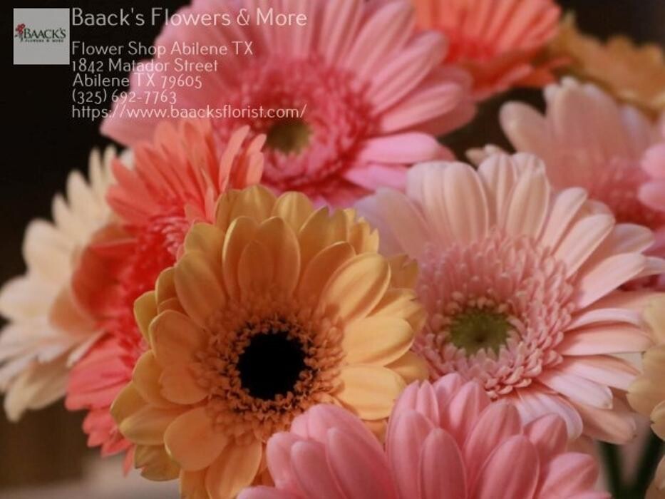 Images Baack's The Florist