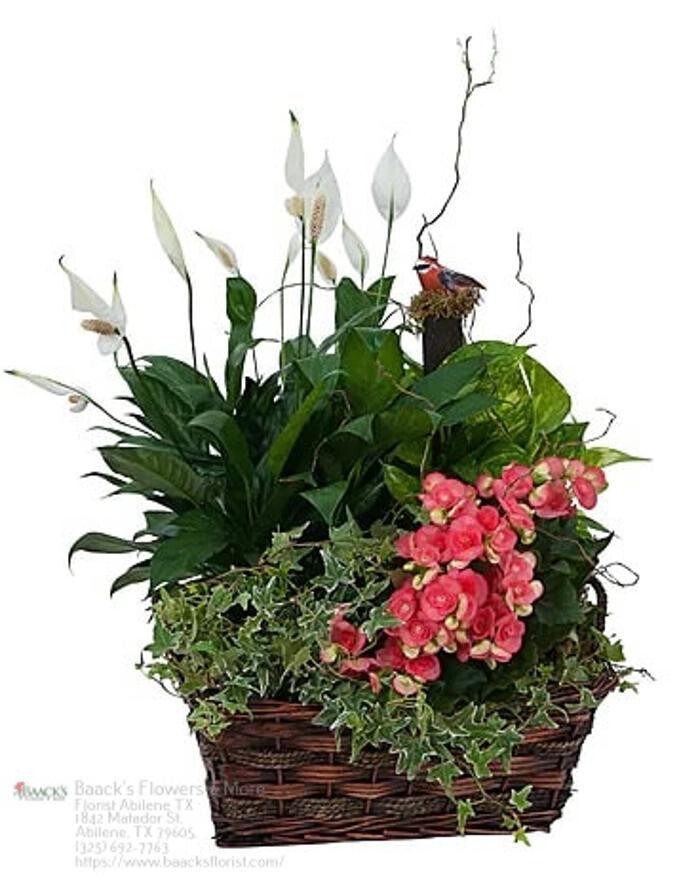 Images Baack's The Florist
