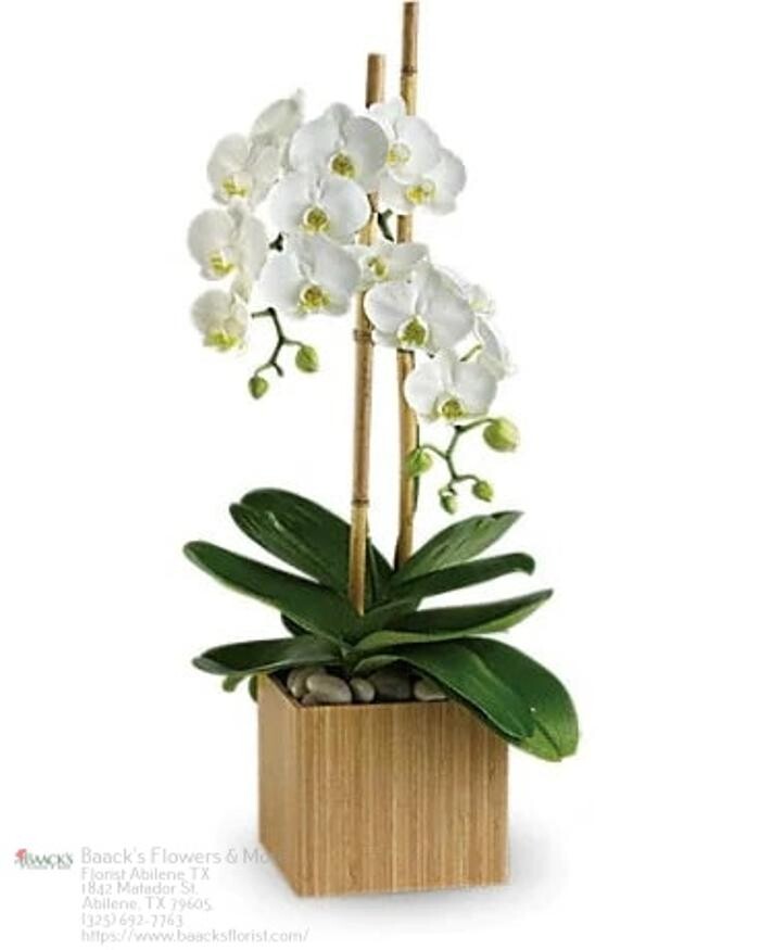 Images Baack's The Florist