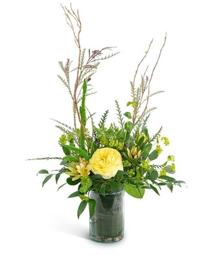 Images Baack's The Florist