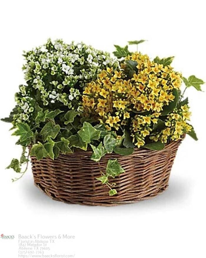 Images Baack's The Florist