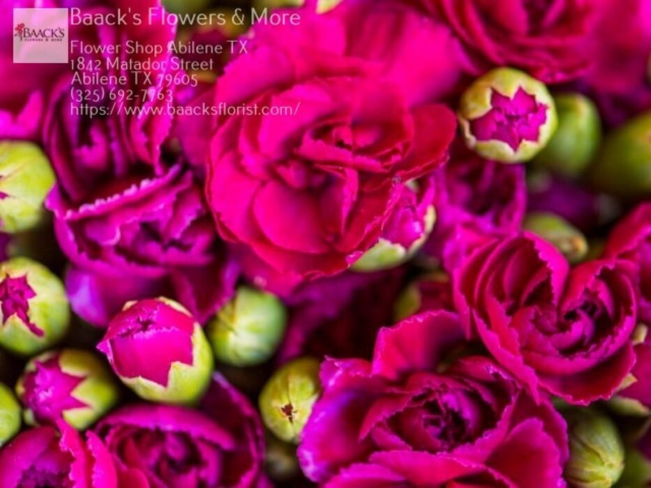 Images Baack's The Florist