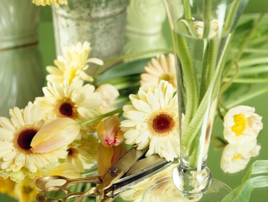 Images Baack's The Florist