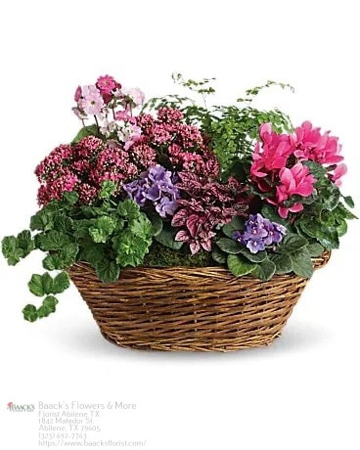 Images Baack's The Florist
