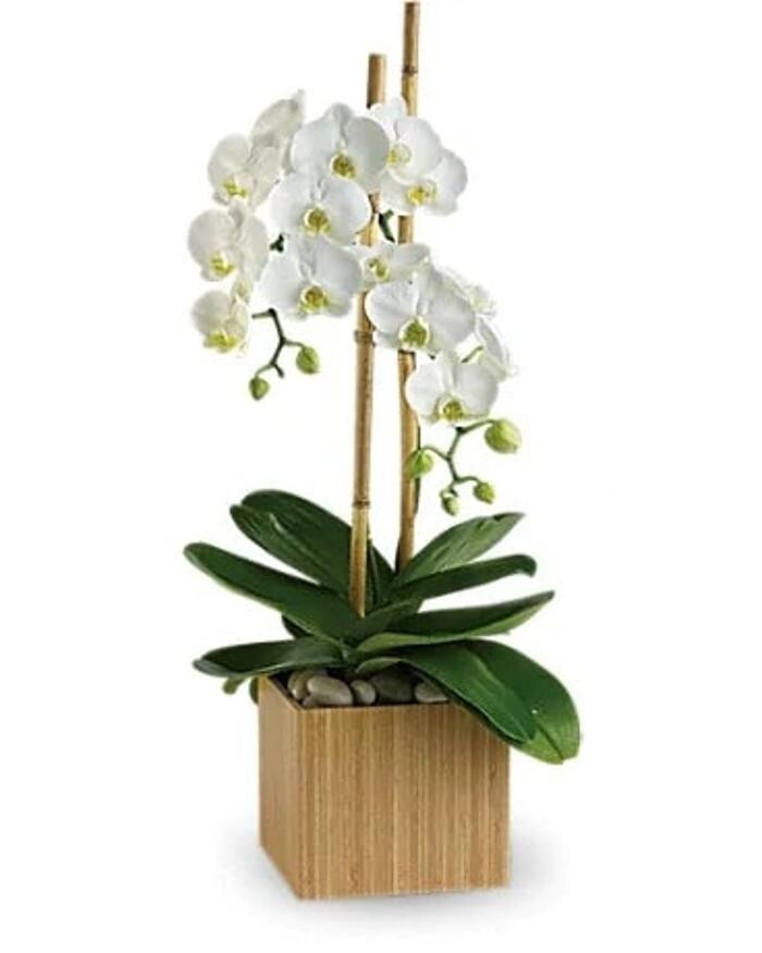 Images Baack's The Florist