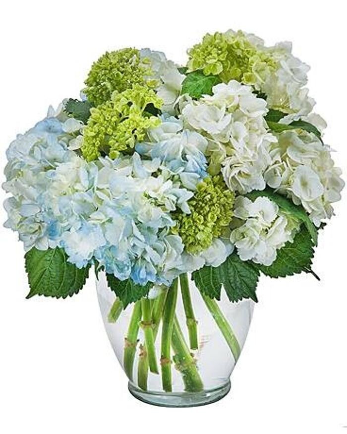 Images Baack's The Florist