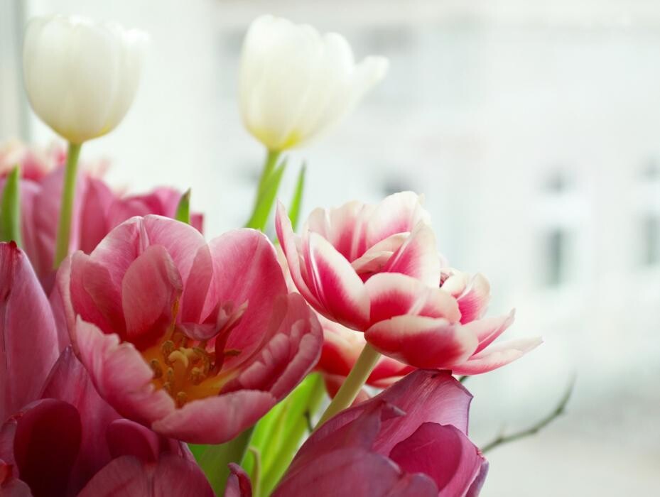 Images Baack's The Florist