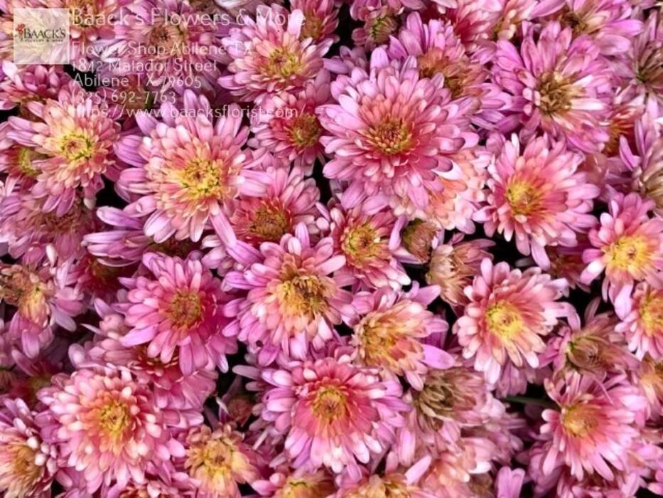 Images Baack's The Florist