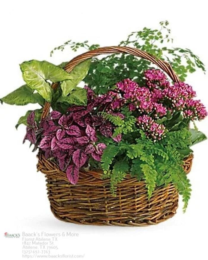 Images Baack's The Florist