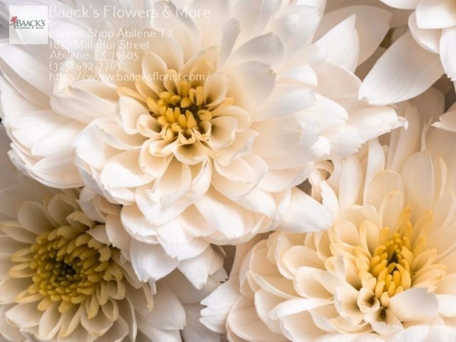 Images Baack's The Florist