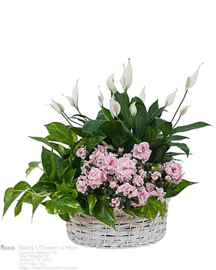 Images Baack's The Florist