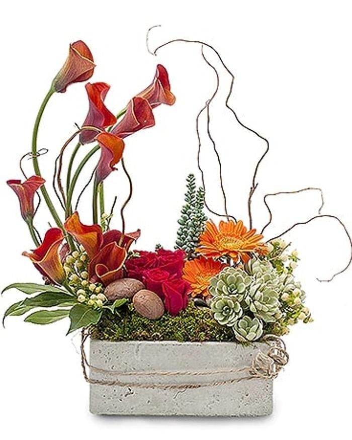 Images Baack's The Florist