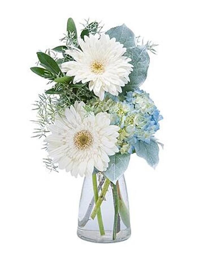Images Baack's The Florist