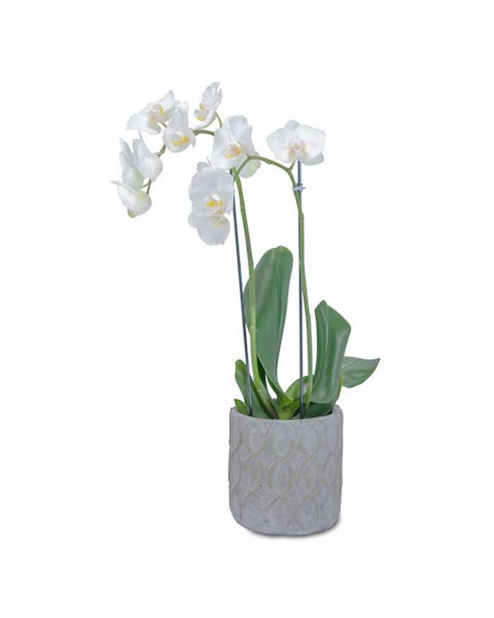 Images Baack's The Florist