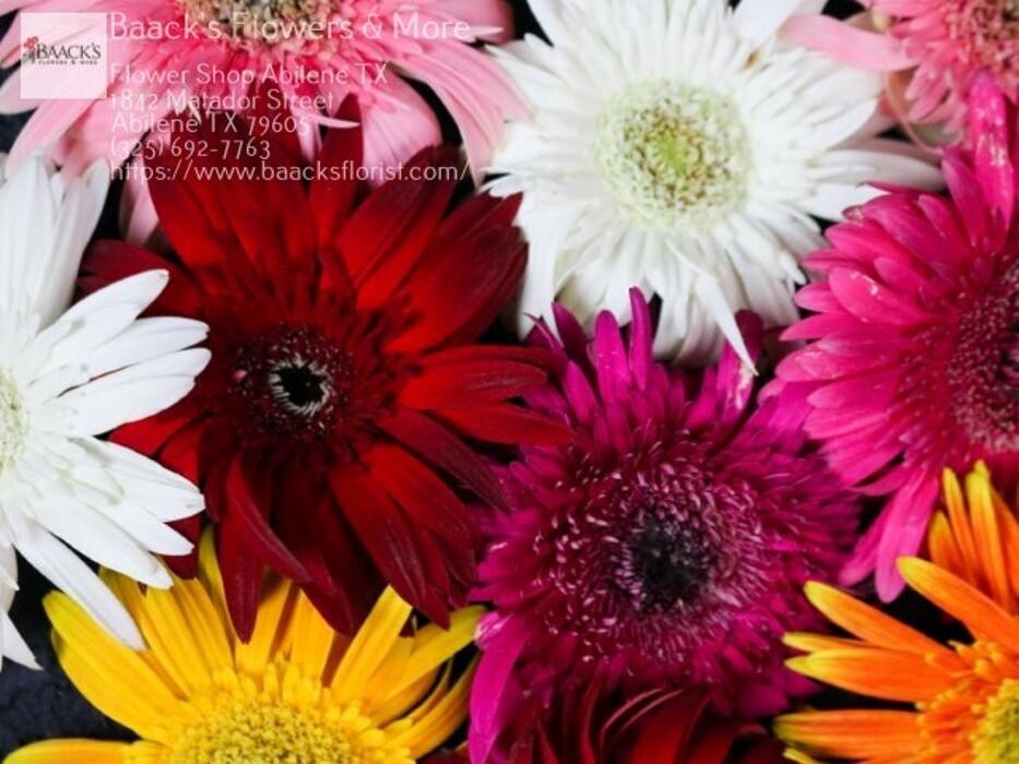 Images Baack's The Florist