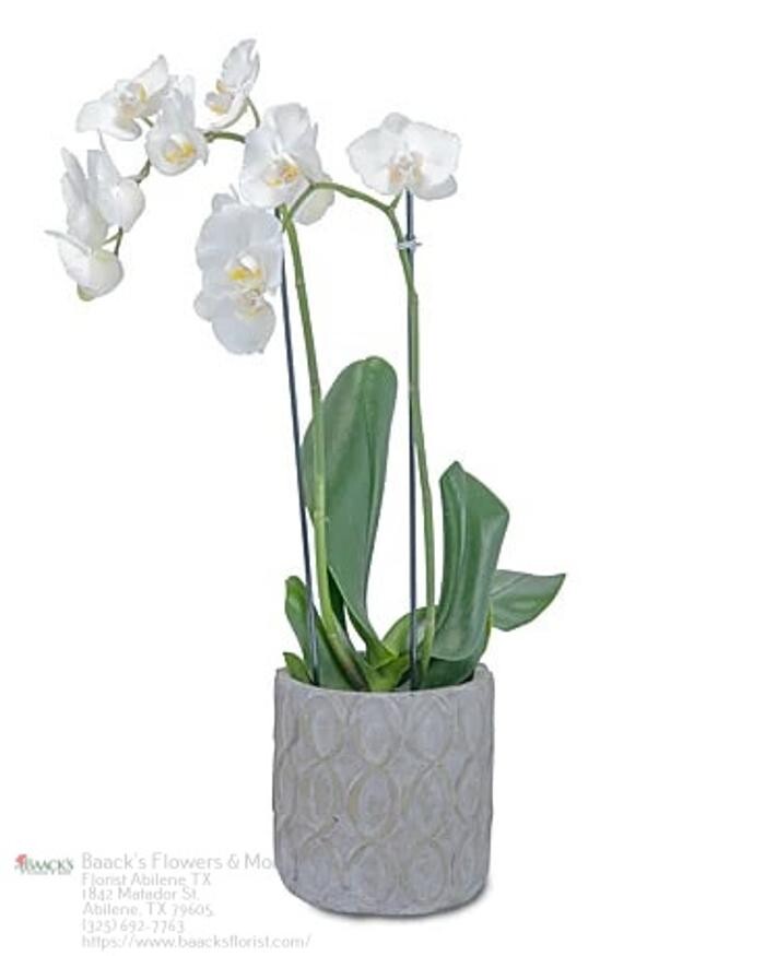 Images Baack's The Florist