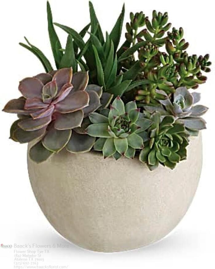 Images Baack's The Florist