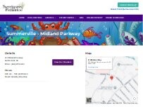 Website Screenshot Sweetgrass Pediatrics - Summerville (Midland Pkwy)
