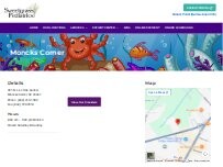 Website Screenshot Sweetgrass Pediatrics - Moncks Corner