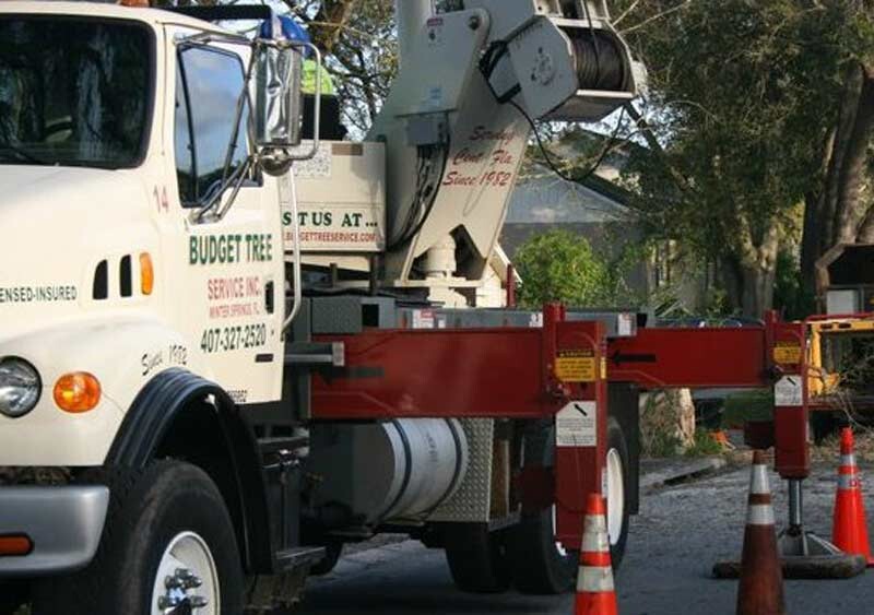 Images A Budget Tree Service