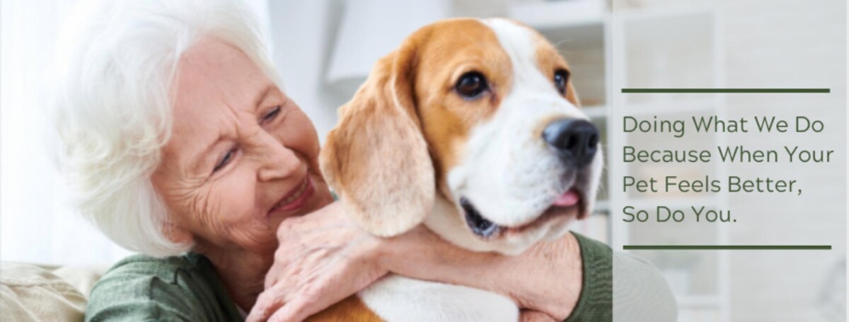 Images Brookwood Animal Hospital