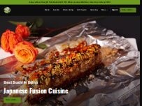 Website Screenshot Raku