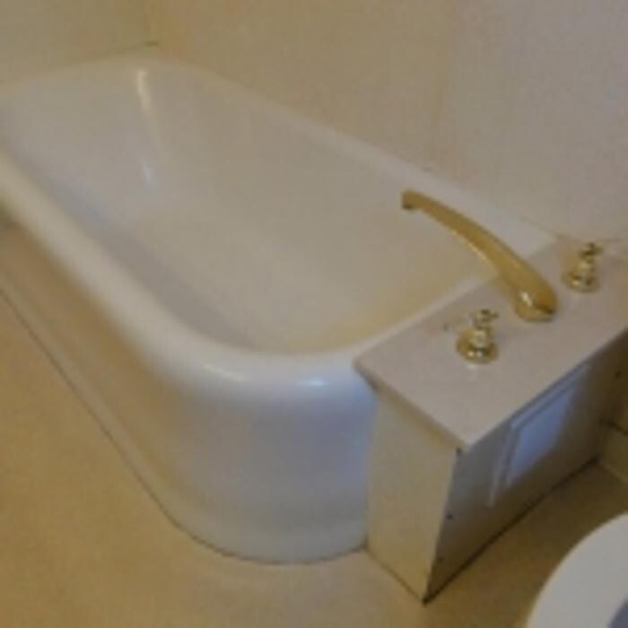 Images Alpine Bathtub Liners