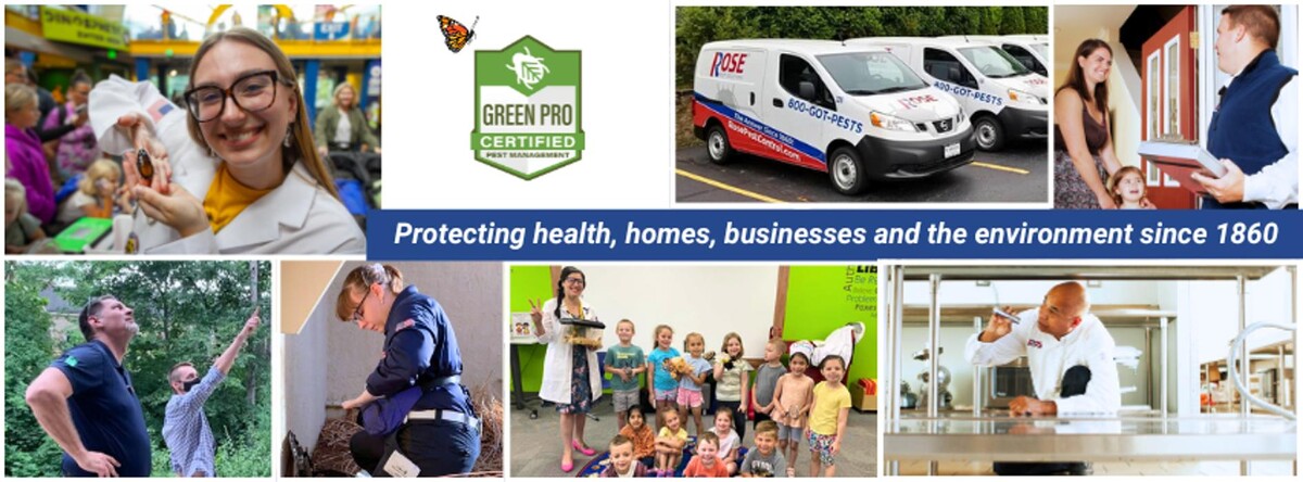 Images Rose Pest Solutions