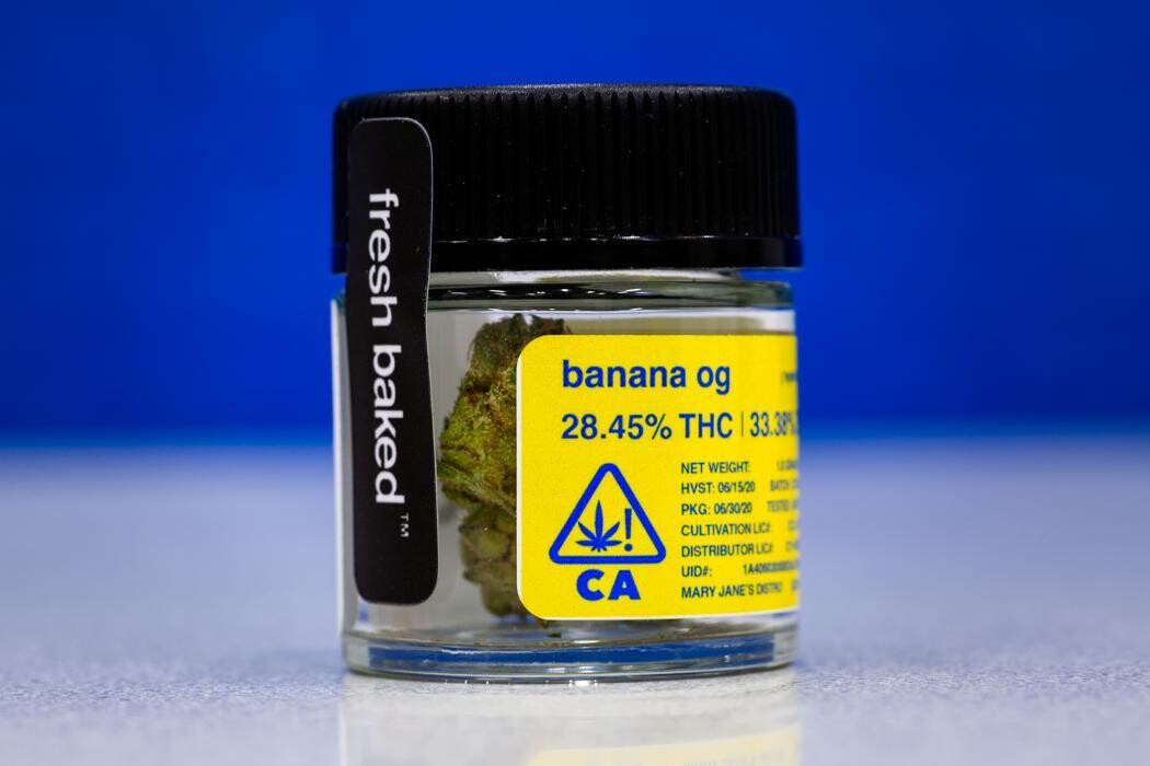 Images Catalyst Cannabis Dispensary Santa Ana