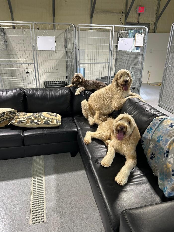 Images Doghouse at Lake Oconee