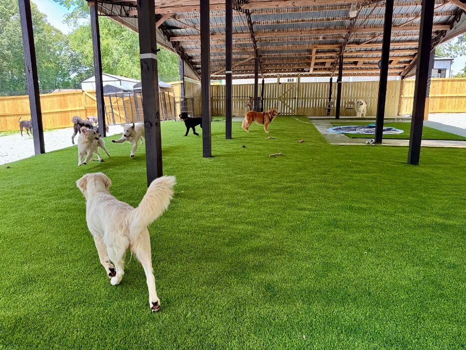 Images Doghouse at Lake Oconee