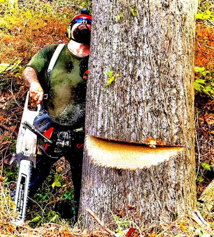 Images Big South Land & Tree LLC