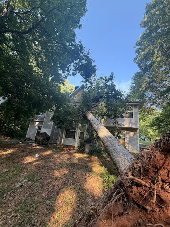 Images Big South Land & Tree LLC