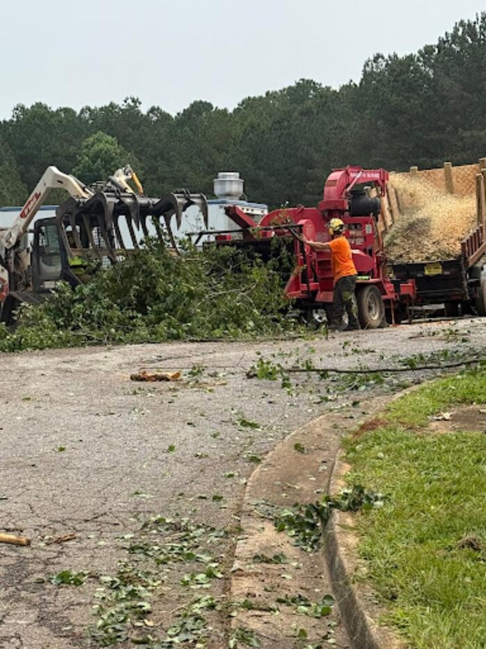 Images Big South Land & Tree LLC