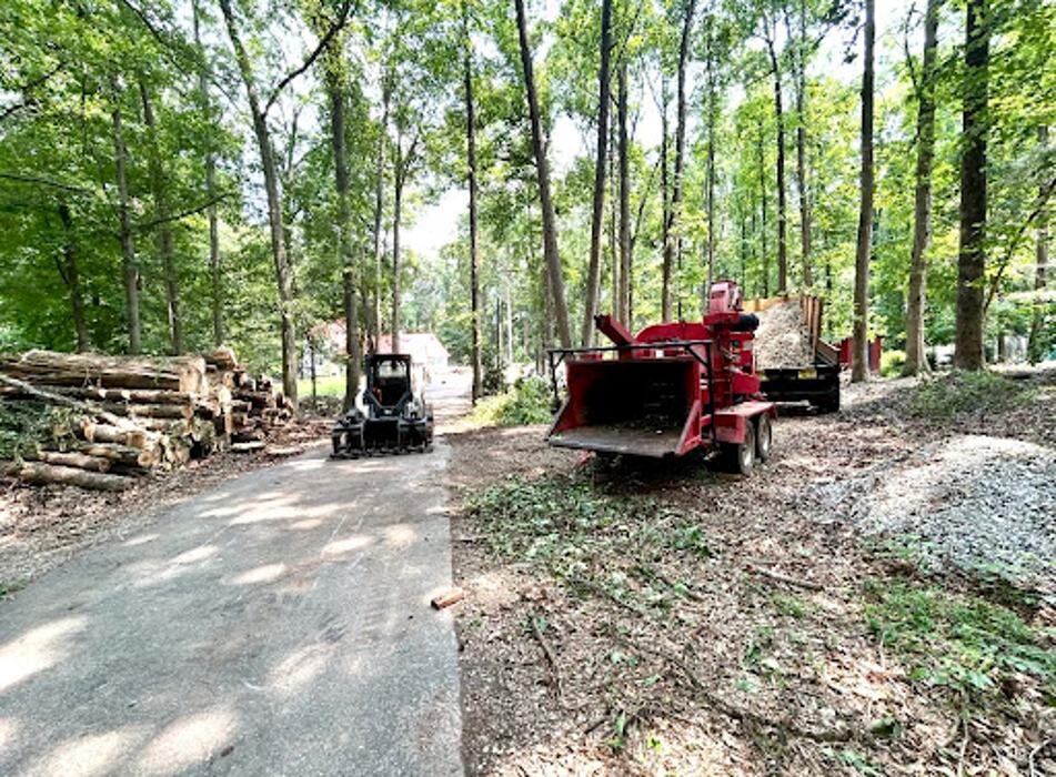 Images Big South Land & Tree LLC