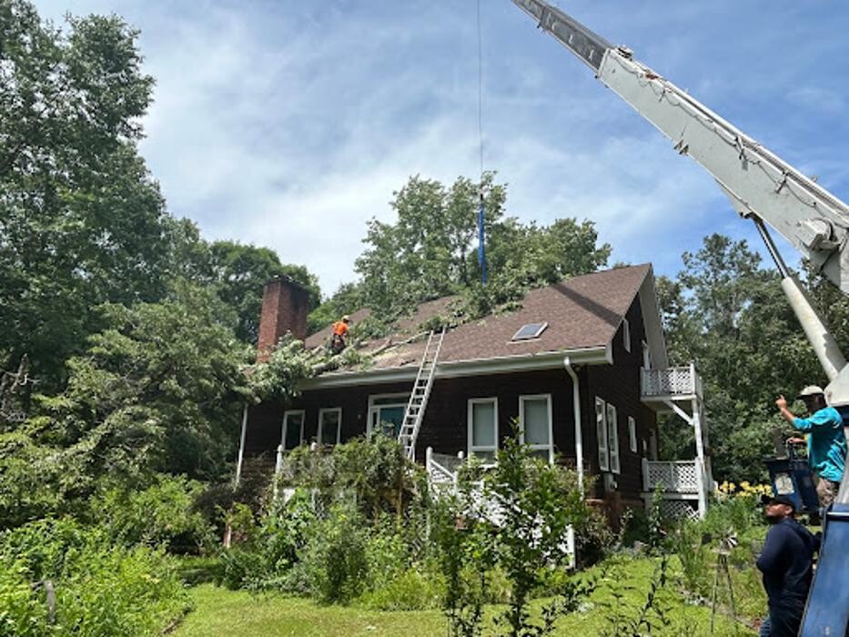 Images Big South Land & Tree LLC