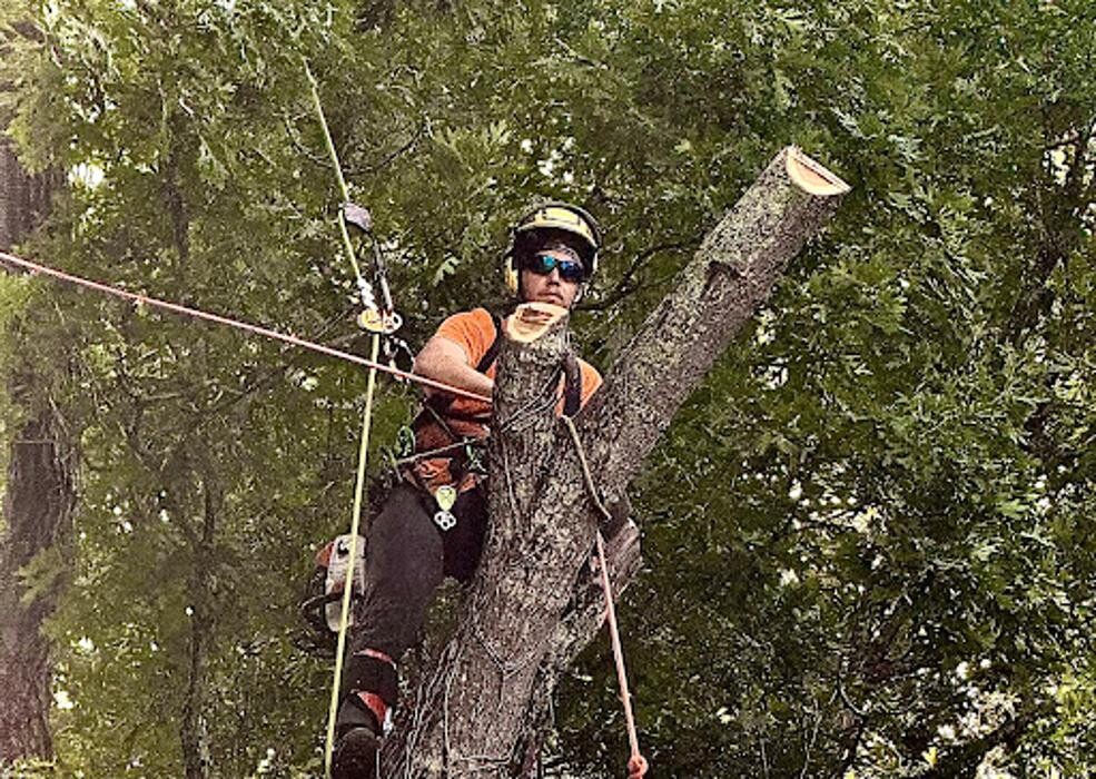 Images Big South Land & Tree LLC