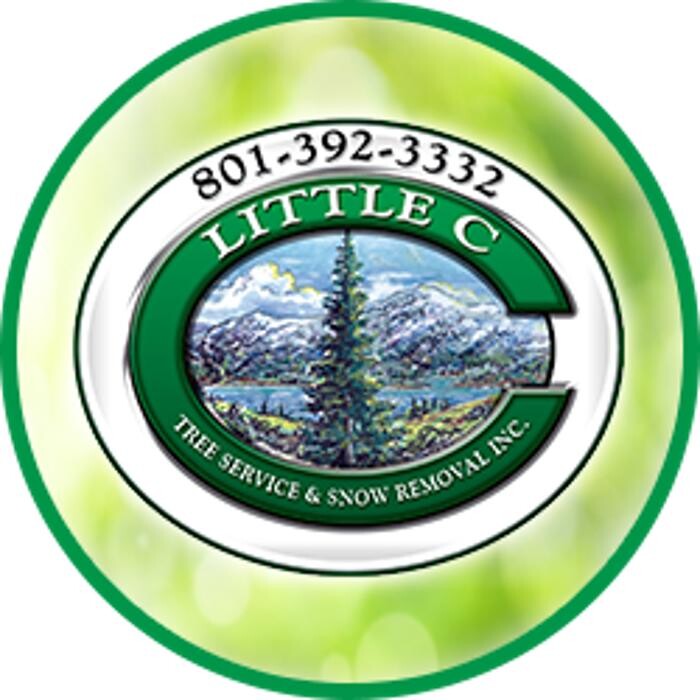 Little C Tree Service Logo