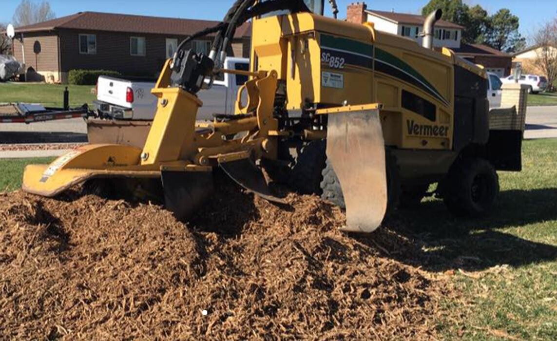 Images Little C Tree Service