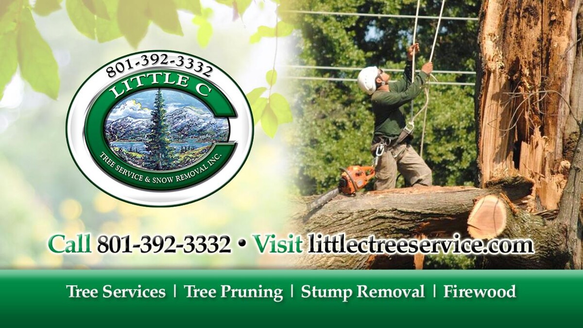 Images Little C Tree Service
