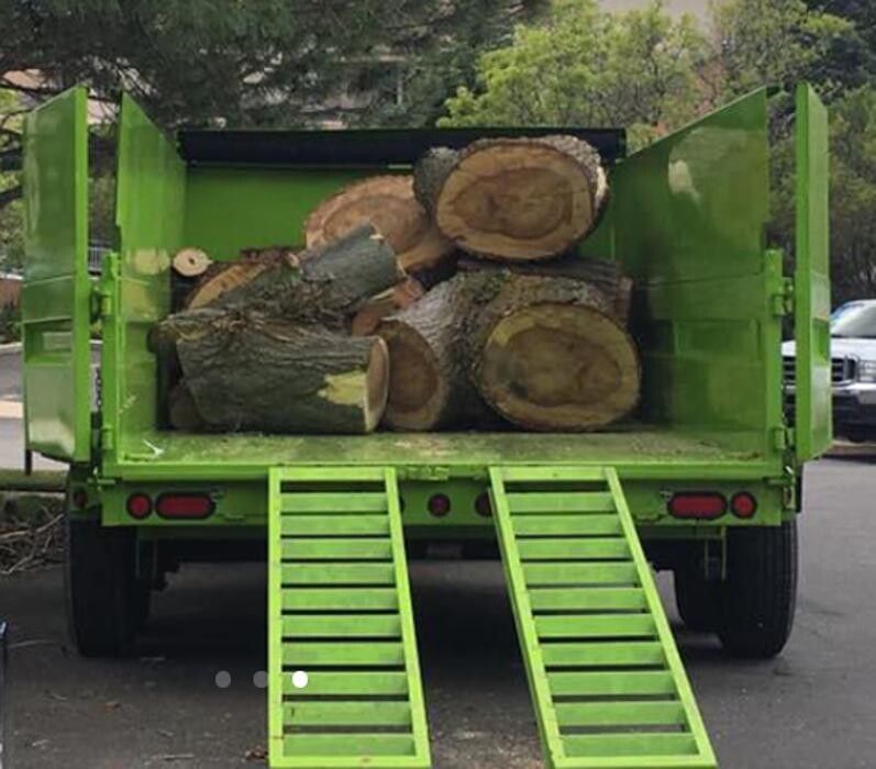 Images Little C Tree Service