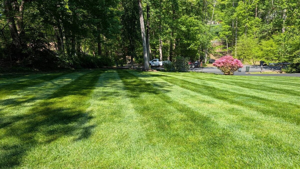 Images Custom Care Lawn & Property Services Inc