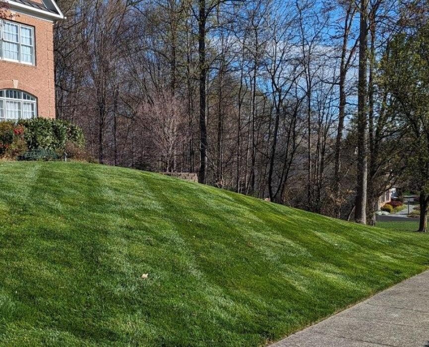 Images Custom Care Lawn & Property Services Inc