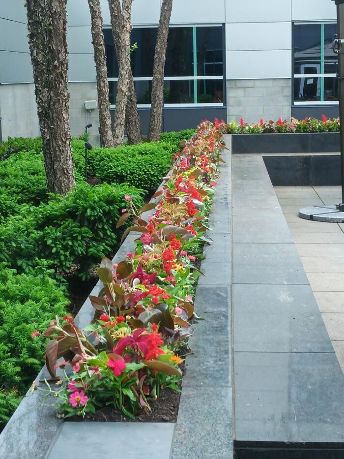 Images Custom Care Lawn & Property Services Inc
