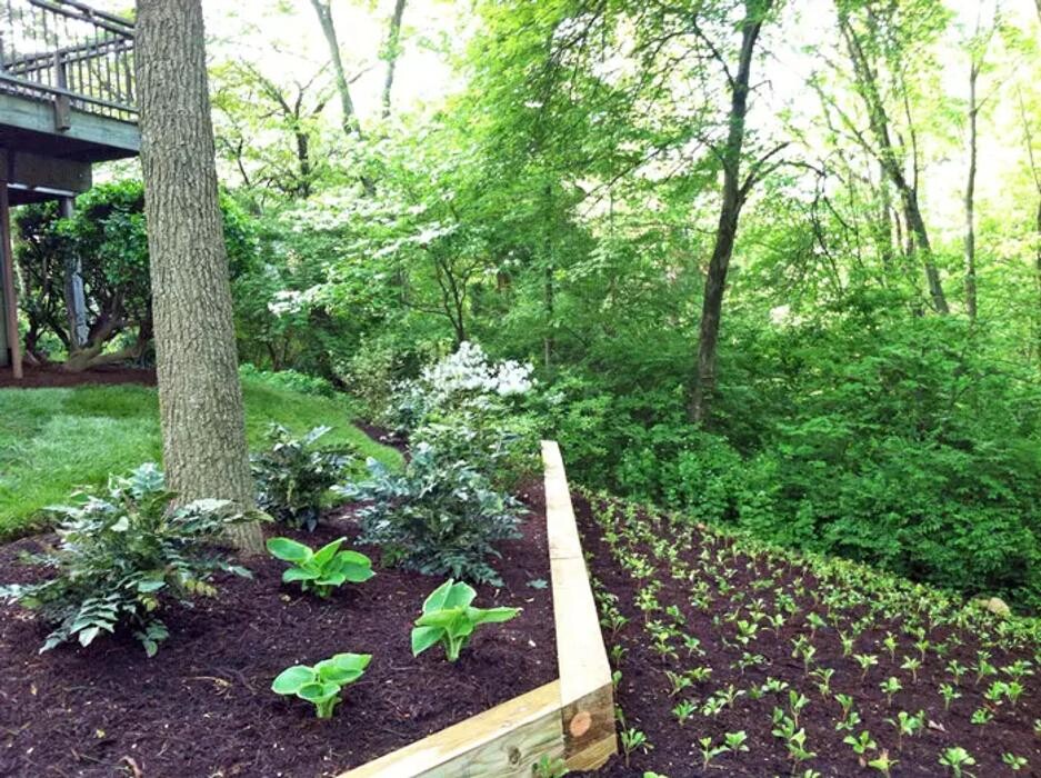 Images Custom Care Lawn & Property Services Inc