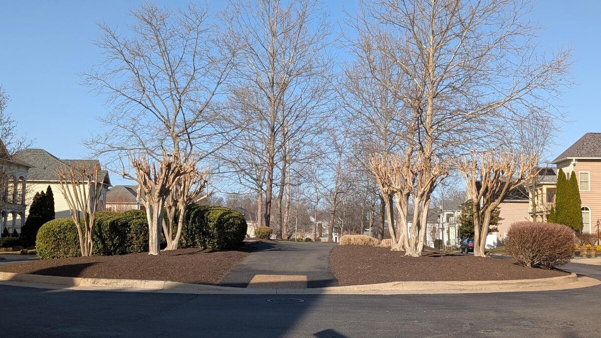 Images Custom Care Lawn & Property Services Inc