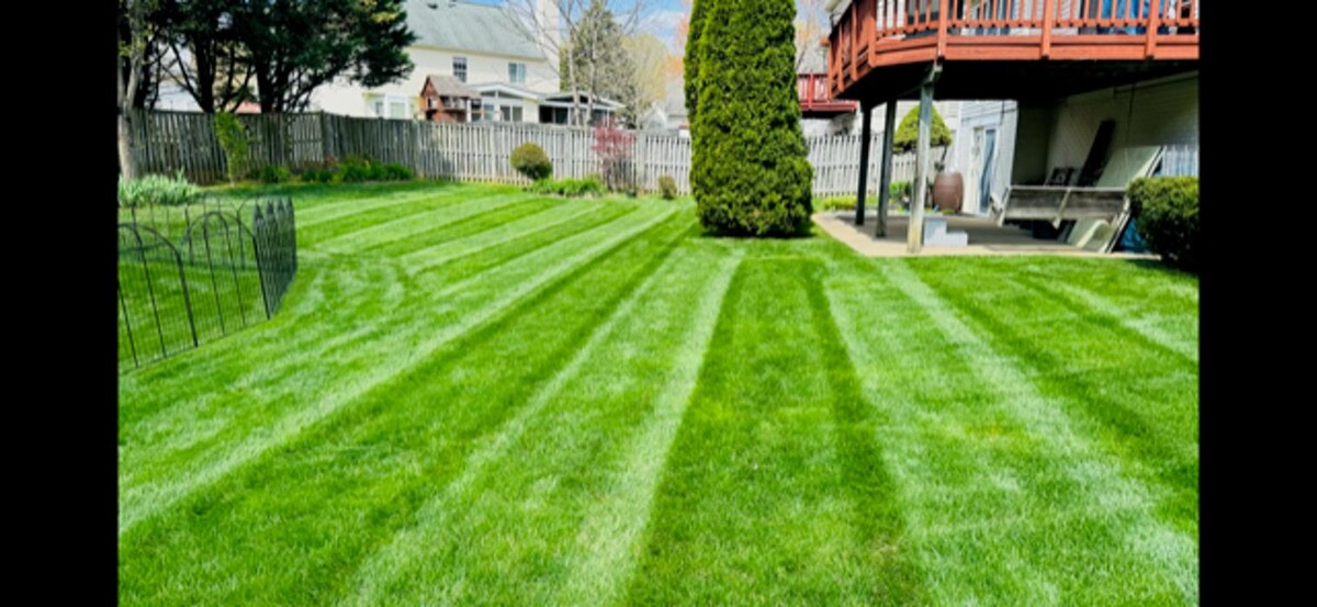 Images Custom Care Lawn & Property Services Inc